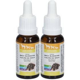 Bachblüten Tiere Tropfen HILFE