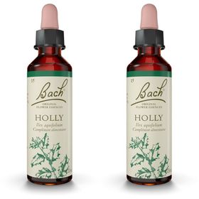 Fleurs de Bach® Original Holly N° 15