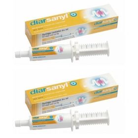 Diarsanyl+ Pâte orale grand chien Seringue