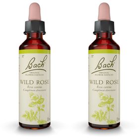 Original Bach®-Blüten Wild Rose Nr. 37
