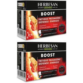Herbesan Boost Energie und Vitalität