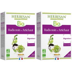 Herbesan Bio Digestion Radis Noir Artichaut