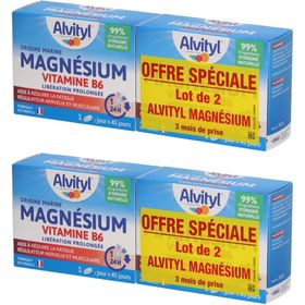 Alvityl Magnésium Vitamine B6
