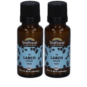 BIOFLORAL 19 Larch - Lärche