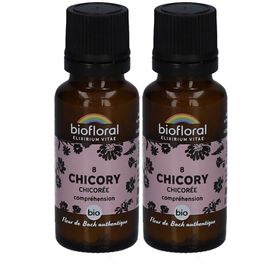 BIOFLORAL 08 Chicorée - Zichorie