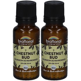 BIOFLORAL Chestnut Bud - Bourgeon de Marronnier - Bio