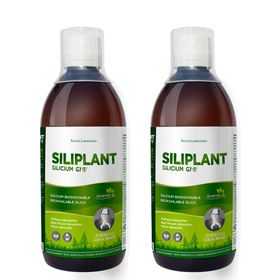 SILIZIUM LABORATORIEN Siliplant Silicium G7