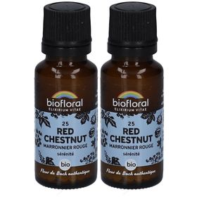BIOFLORAL 25 Rotkastanie - Maronnier Rouge