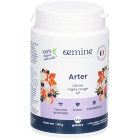 Oemine ARTER 180 Gel