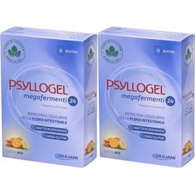PSYLLOGEL® Megaferment 24