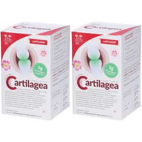 Salugea Cartilagea - Knorpelergänzung - Fläschchen