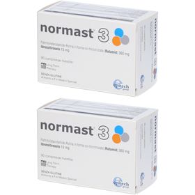 Epitech Normast 3