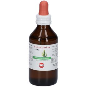 FICUS CARICA MG 100ML GTT