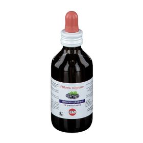 KOS Ribes Nigrum