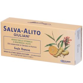 Geschmackssparer-Alito Orange