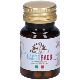 Lactobaob