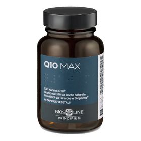 Principium Q10 MAX