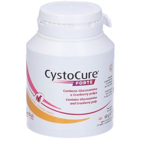 Cystocure Forte Dose 30 Tabletten