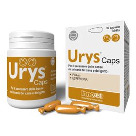 Urys-Kappen