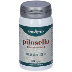 PILOSELLA VITA KRAUT