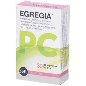 Egregia PC