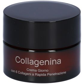 LABO Collagenin Crème de jour avec 6 collagènes à absorption rapide