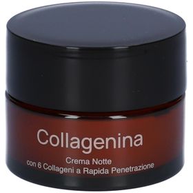 LABO Collagenine Nachtcreme mit 6 schnell einziehenden Collagenen - Grad 2