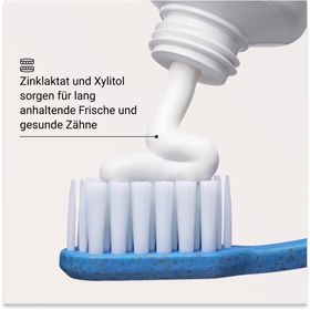 ALPINE WHITE Whitening Toothpaste Anti Plaque Zahnpasta