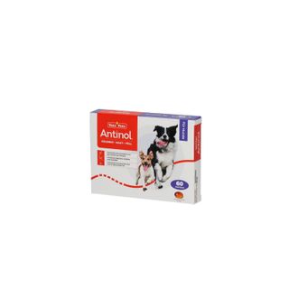 Antinol® Für Hunde