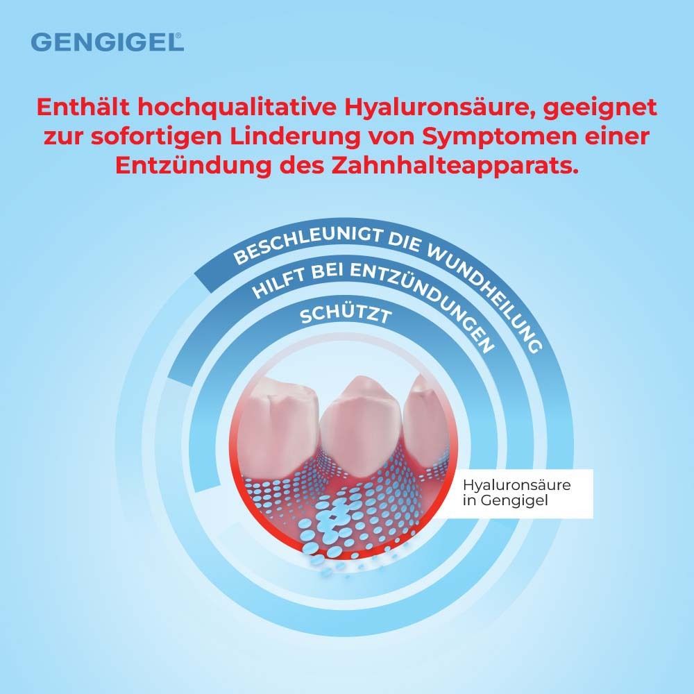 Gengigel bain de bouche. Graphique montrant les dents et les gencives. Texte: Acide hyaluronique dans Gengigel.