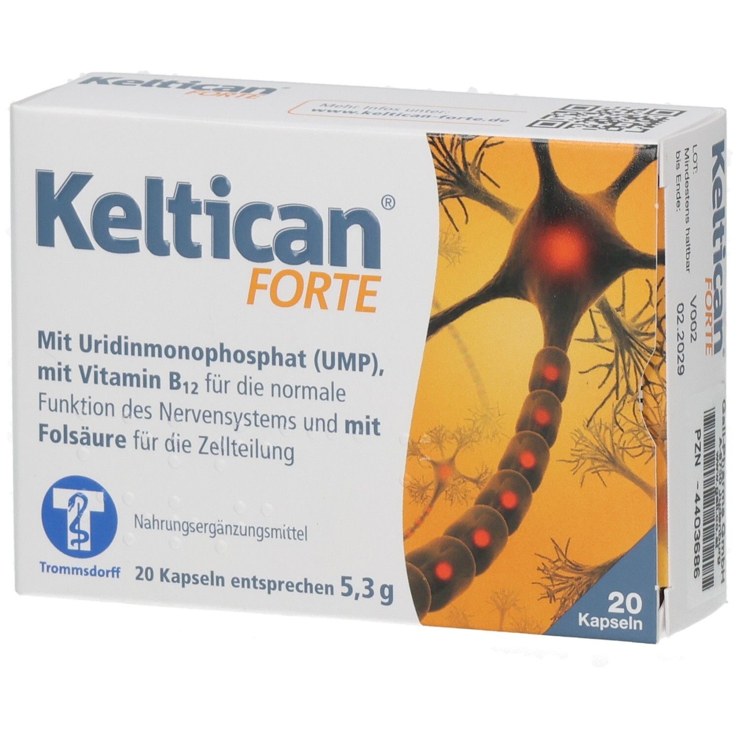 Boîte de Keltican FORTE. Contient 20 gélules. Inscriptions : UMP, vitamine B12, acide folique. Illustration d'un neurone.
