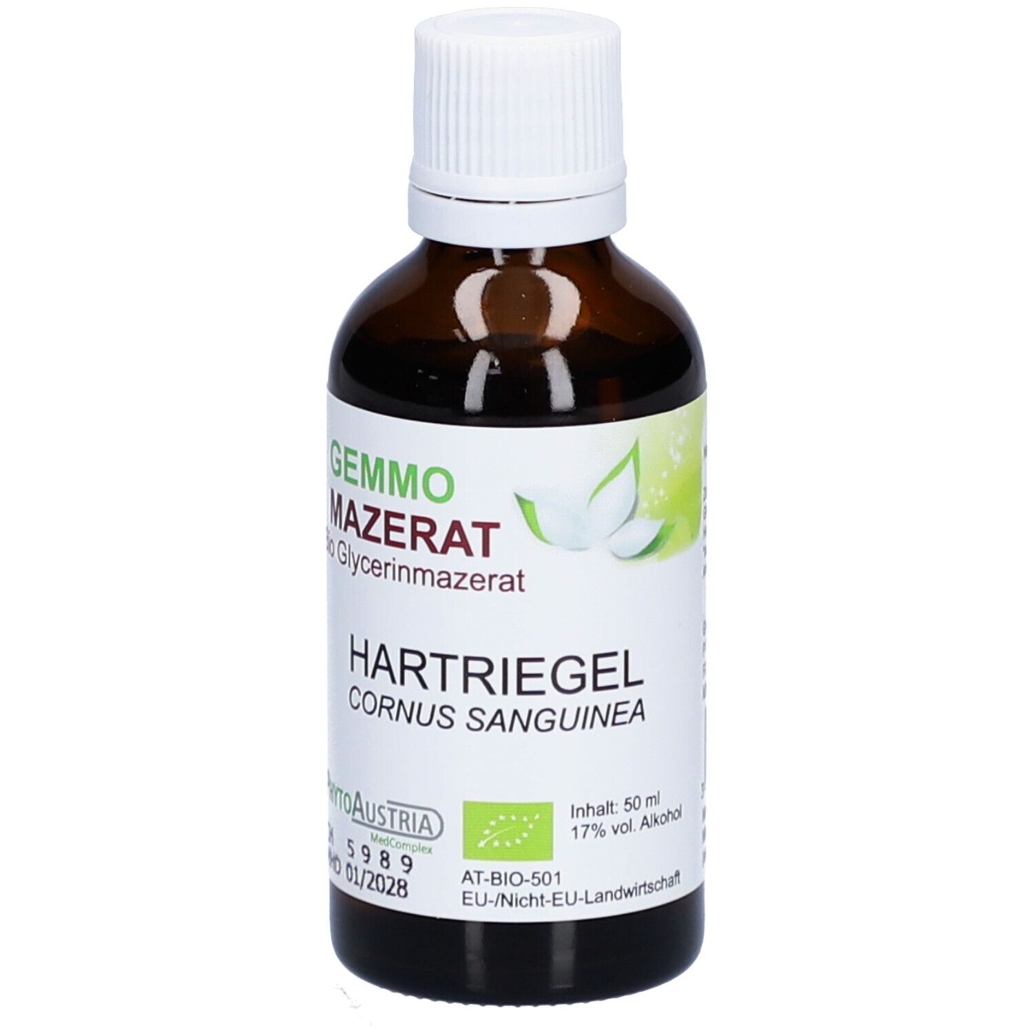 Gemmo Mazerat Hartriegel