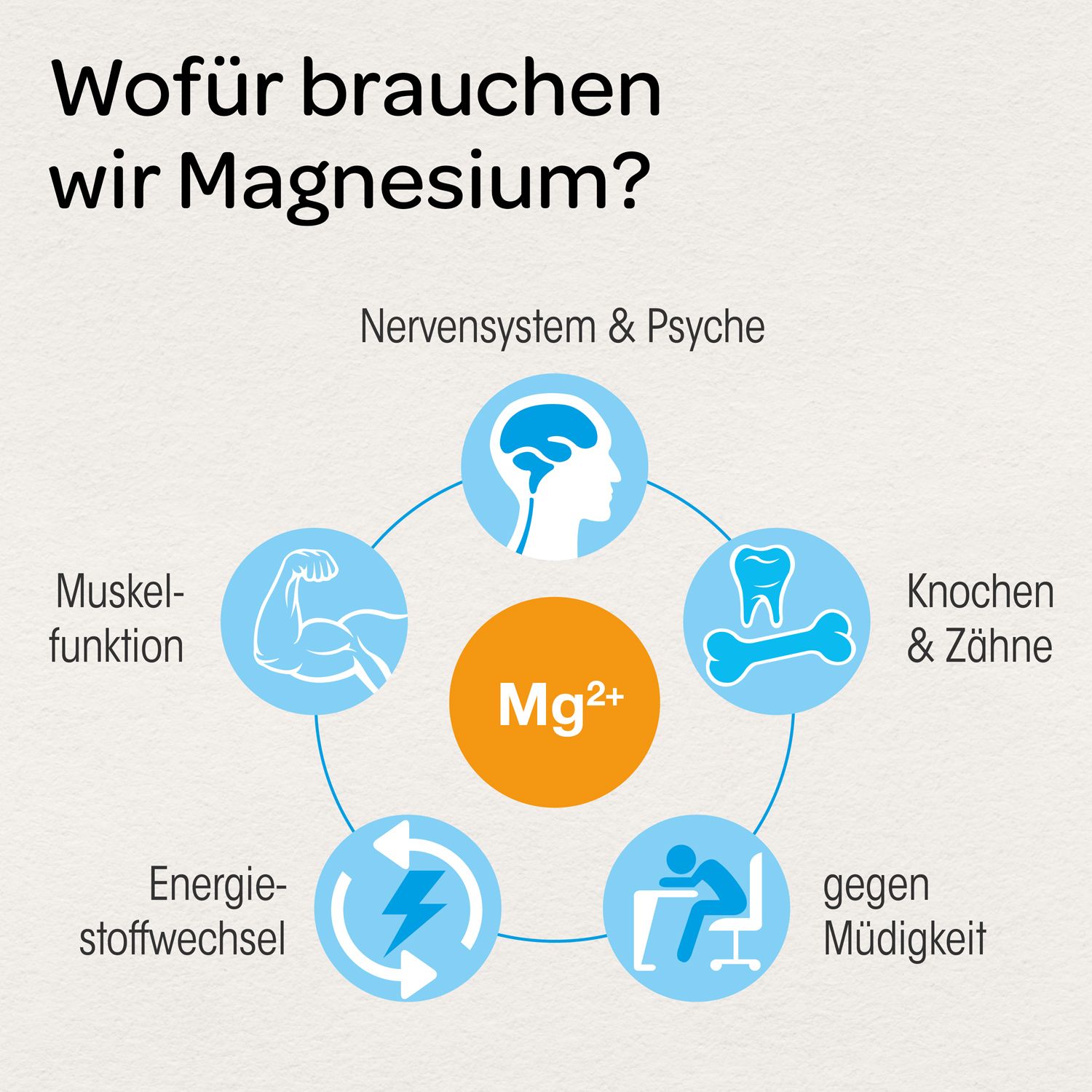 Dr. Böhm® Magnesium complex