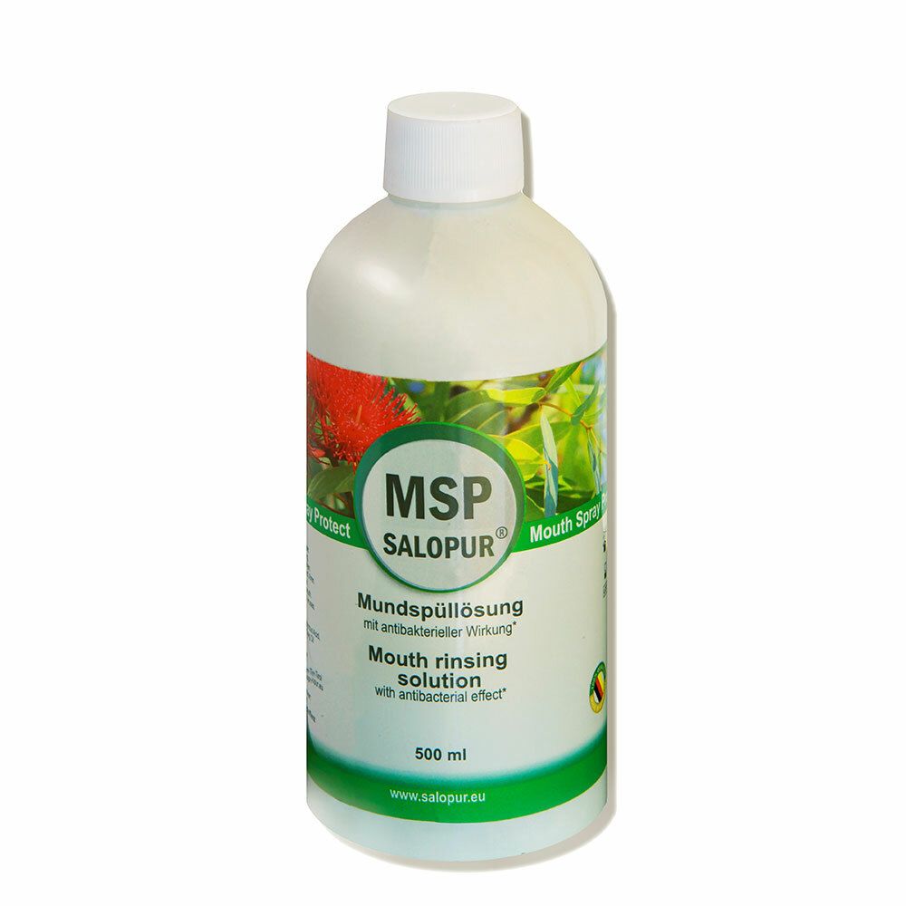 MSP SALOPUR® Mundspray Protect
