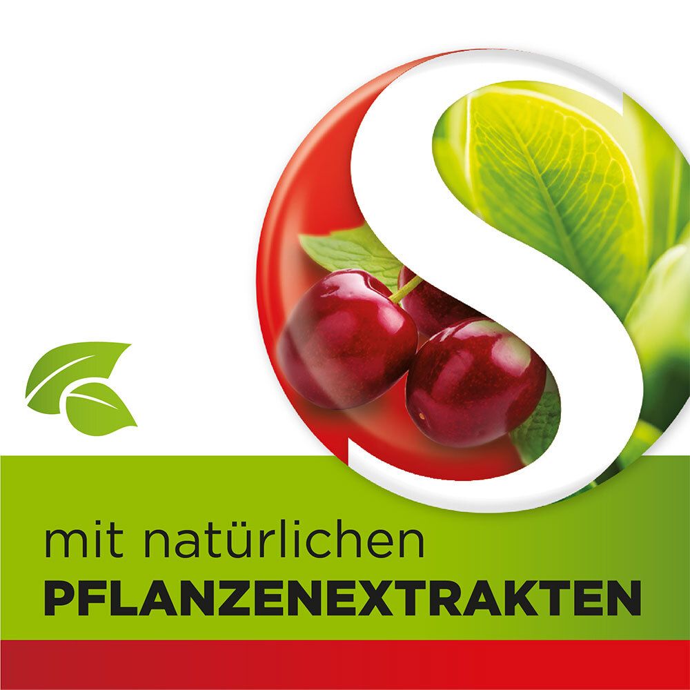 StrepHerbal Pastillen Minze-, Menthol- & Kirschgeschmack