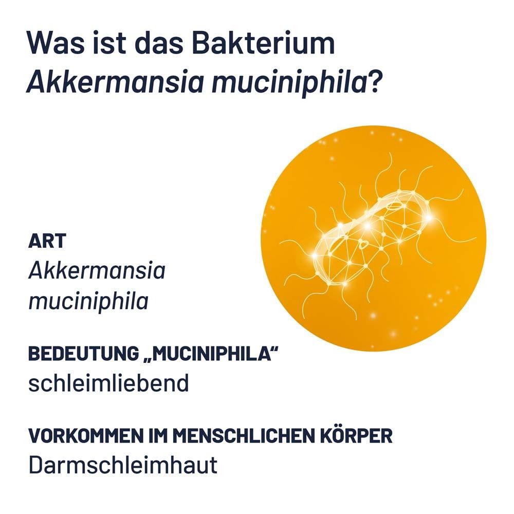 The Akkermansia Company™ ProBio-Cult® AKK1