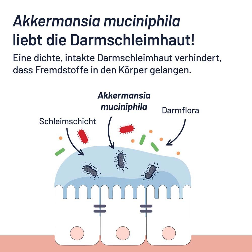 The Akkermansia Company™ ProBio-Cult® AKK1