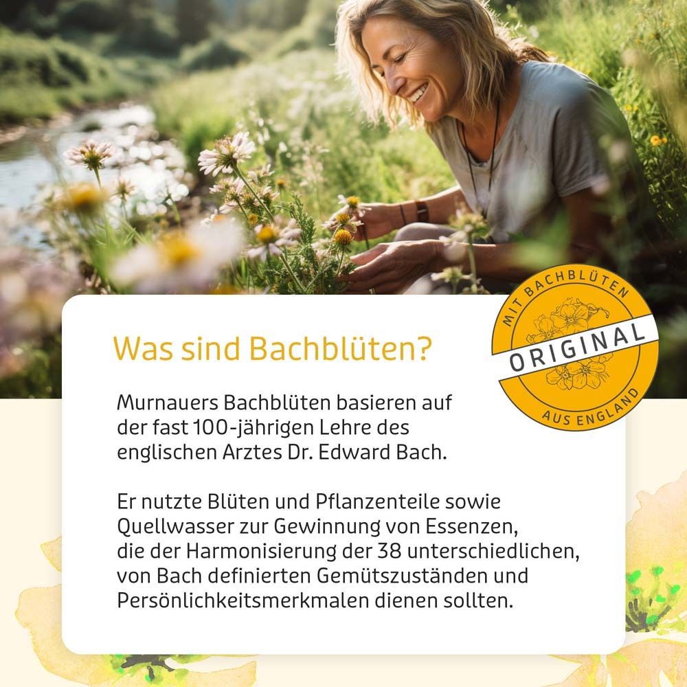 Frau in Natur. Text: Was sind Bachblüten? Text über Bachblüten. Logo: Original aus England.