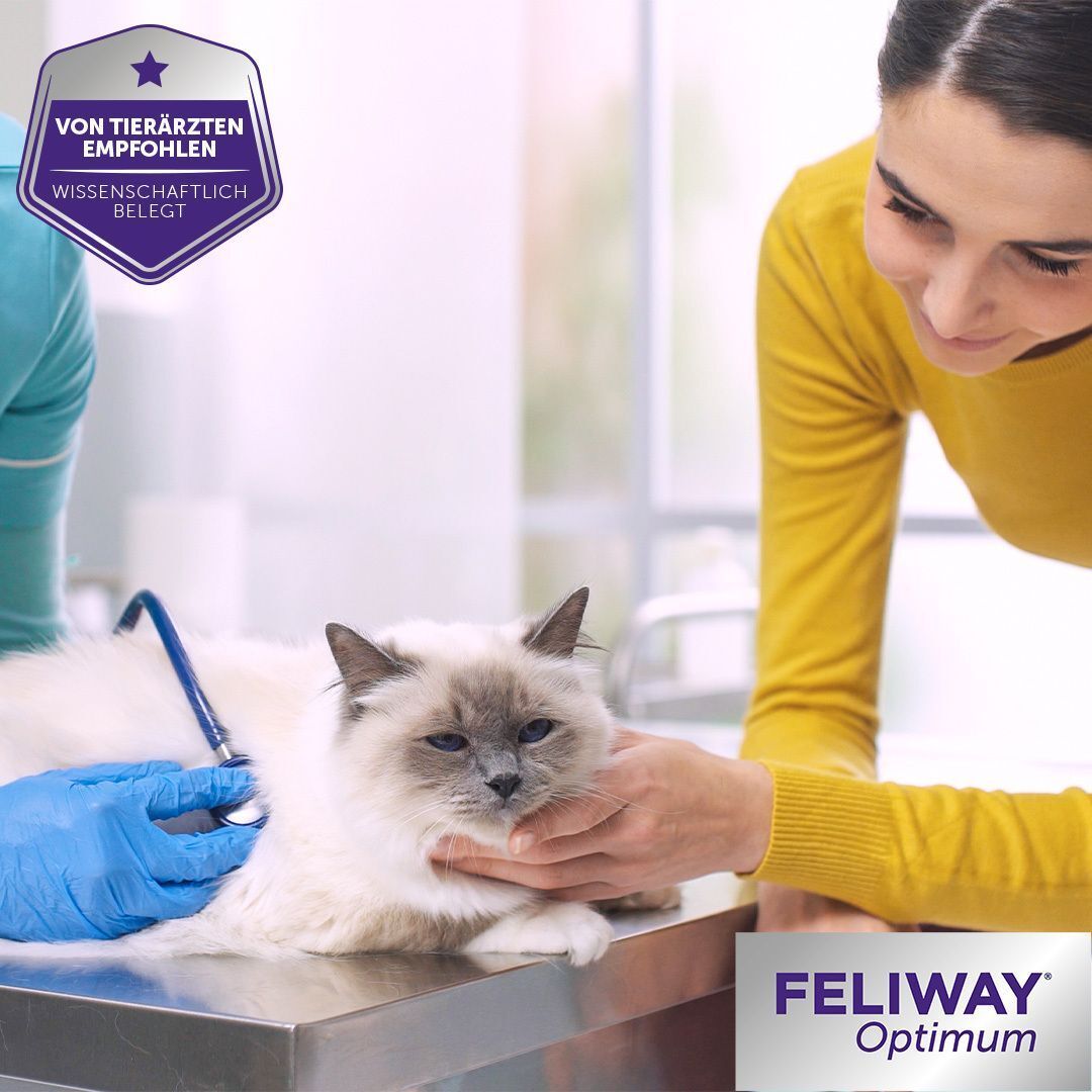 Tierarzt untersucht Katze. FELIWAY® Optimum Logo. Siegel: Von Tierärzten empfohlen, wissenschaftlich belegt.