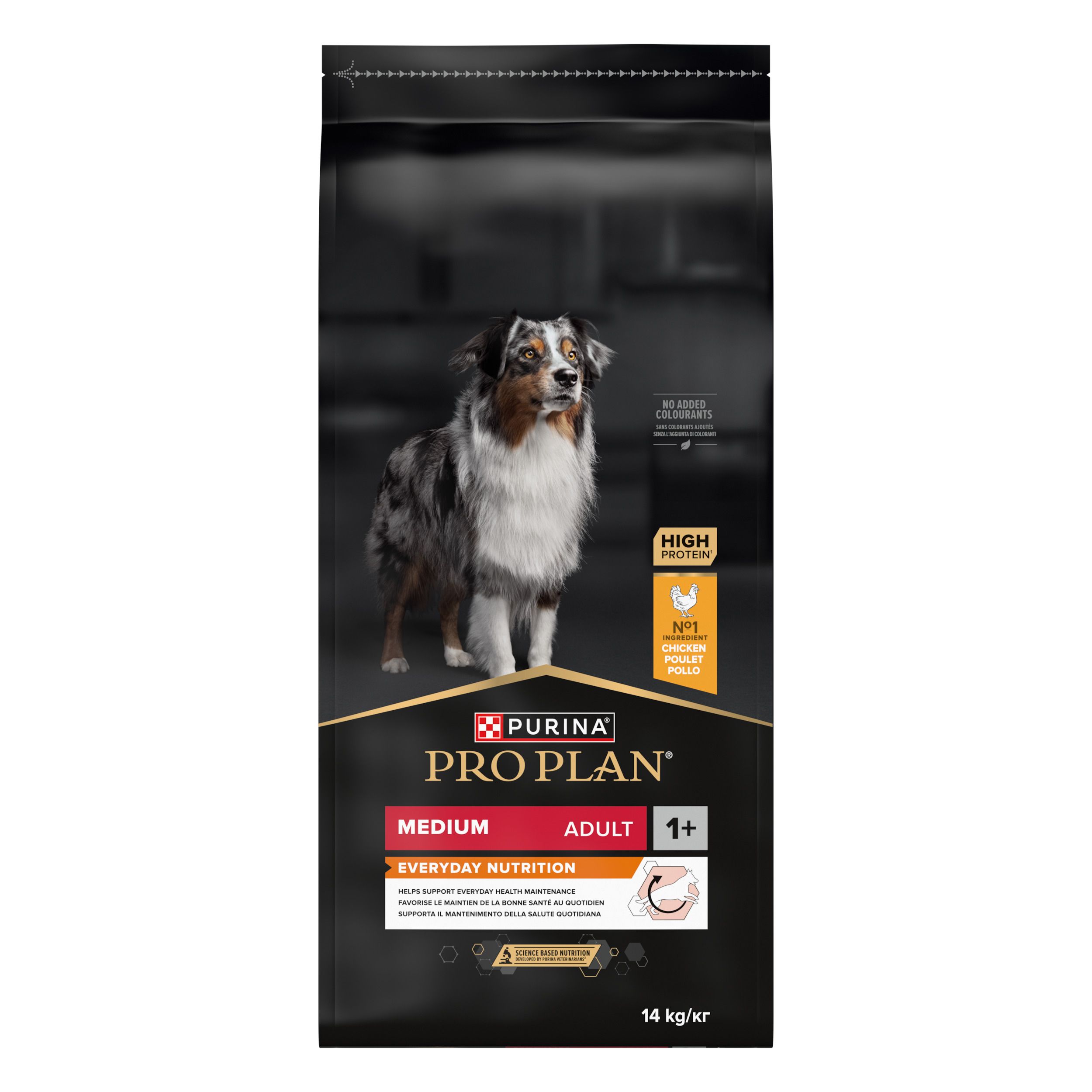Emballage noir de nourriture pour chiens. Inscription : PRO PLAN, Medium Adult, Everyday Nutrition. Image d'un chien.