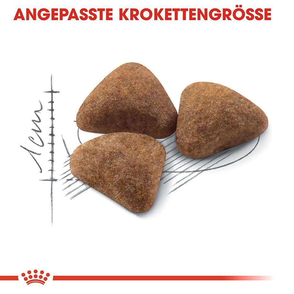 Drei braune Kroketten mit angepasster Größe, daneben eine Skala in Zentimetern.
