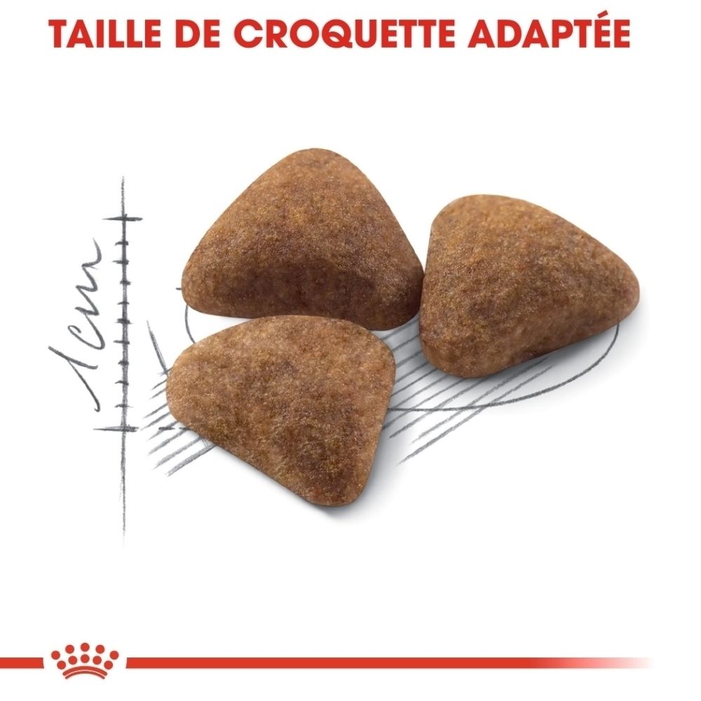 Drei braune Kroketten mit einer Skala, die 1 cm anzeigt.