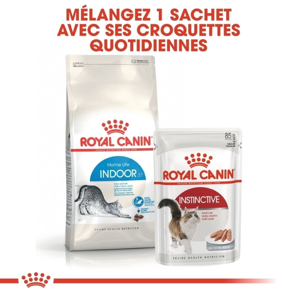 Zwei Royal Canin Katzenfutterpackungen: eine große Tüte und ein kleinerer Beutel.