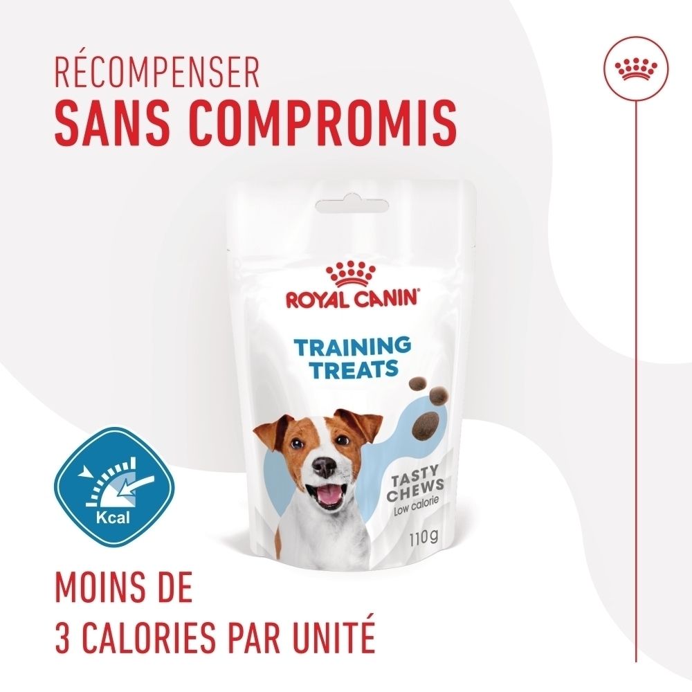 Sachet Royal Canin Training Treats : Récompenser sans compromis, moins de 3 calories par unité.