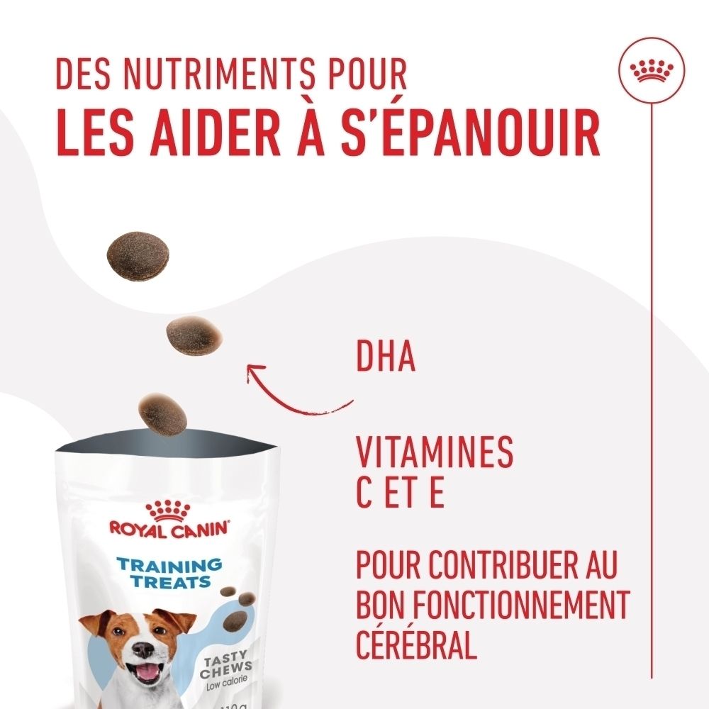 Sachet Royal Canin Training Treats : Nutriments pour le bon fonctionnement cérébral, DHA, Vitamines C & E.