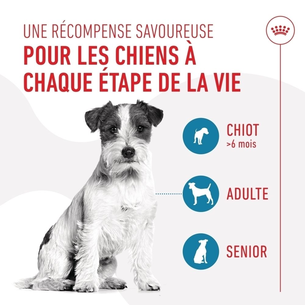 Sachet Royal Canin Training Treats : Une récompense savoureuse pour chiens à chaque étape de la vie.
