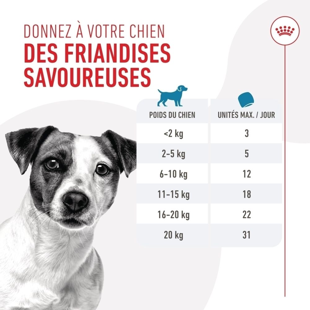Sachet Royal Canin Training Treats : Recommandation alimentaire par poids du chien.