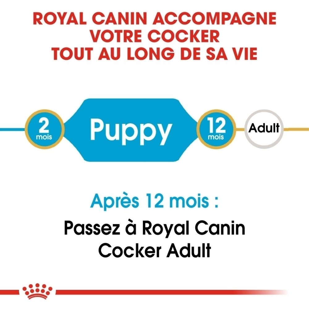 Royal Canin: Von 2 Monaten (Welpe) zu 12 Monaten (Erwachsen). Wechsel zu Royal Canin Cocker Adult nach 12 Monaten.