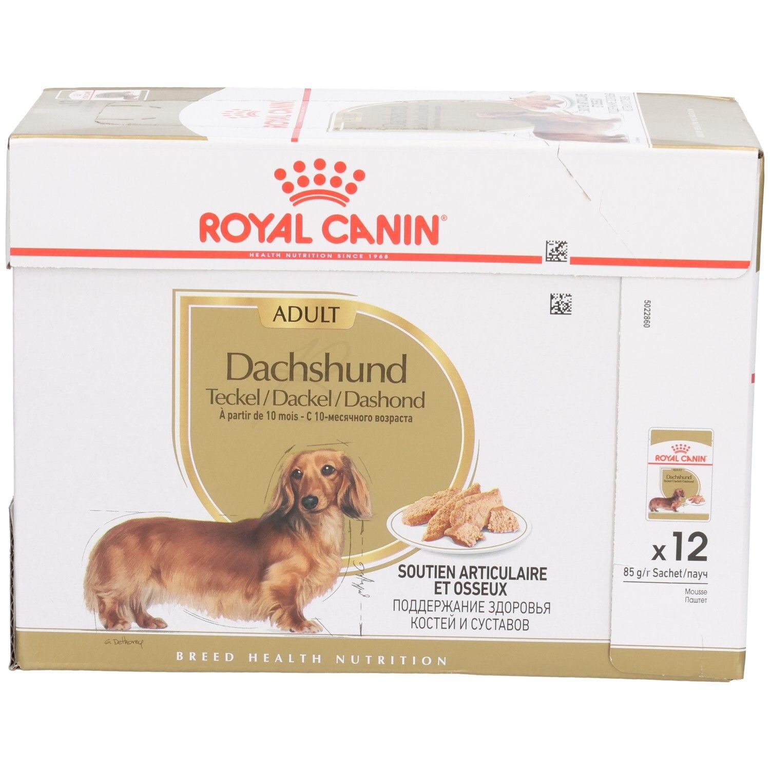 Royal Canin Dachshund Adult Trockenfutter-Box mit 12 Beuteln, Fokus auf Produktbild.