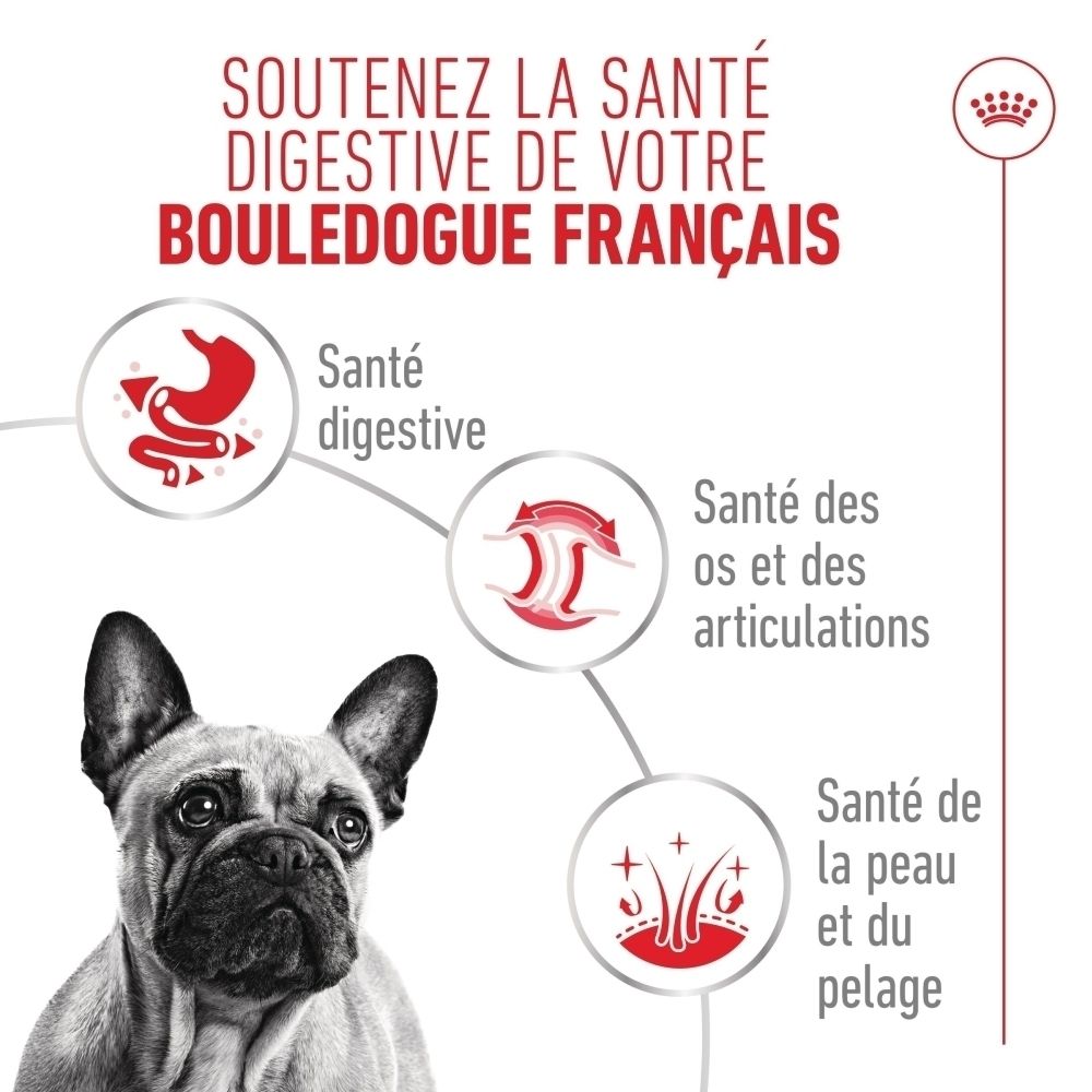 Französische Bulldogge mit Icons für Verdauung, Knochen und Gelenke, Haut und Fell.